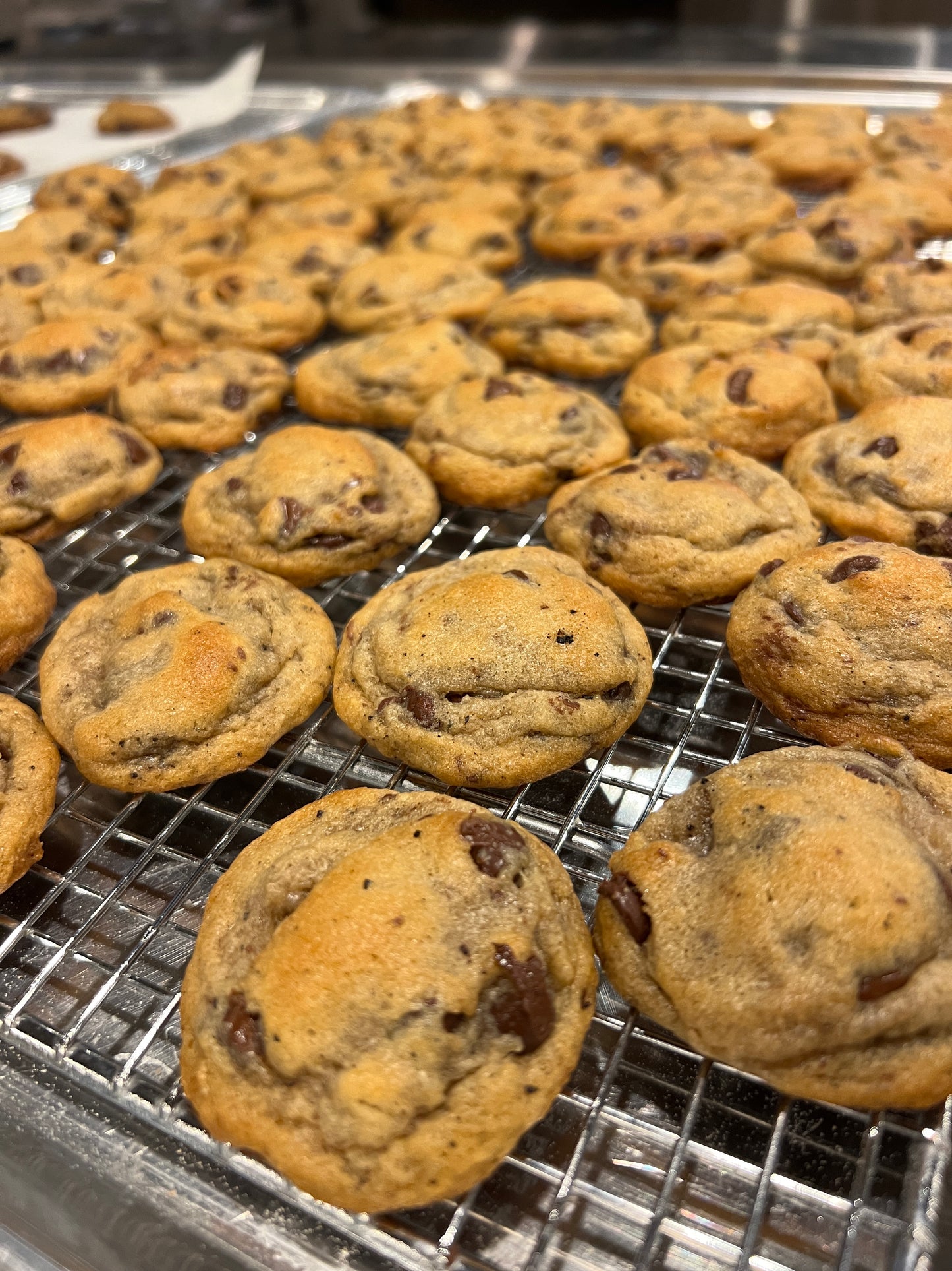 Chocolate Chip Sourdough Cookies (10pk)